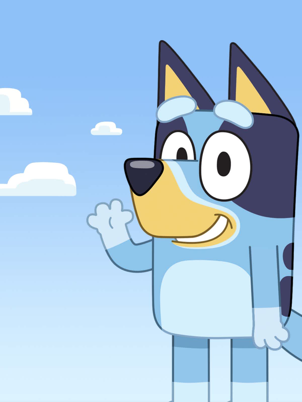 Bluey w SKENDE SKENDE Shopping