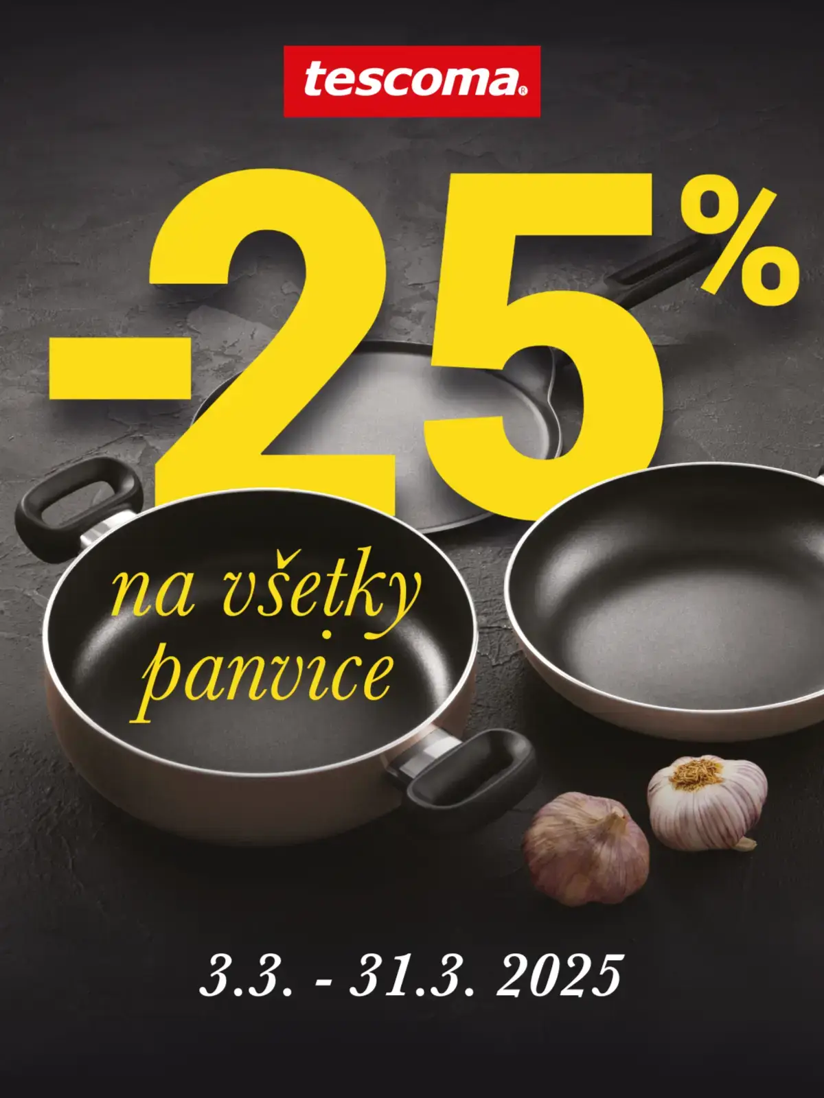 15_avion_ba_panvice25_0325