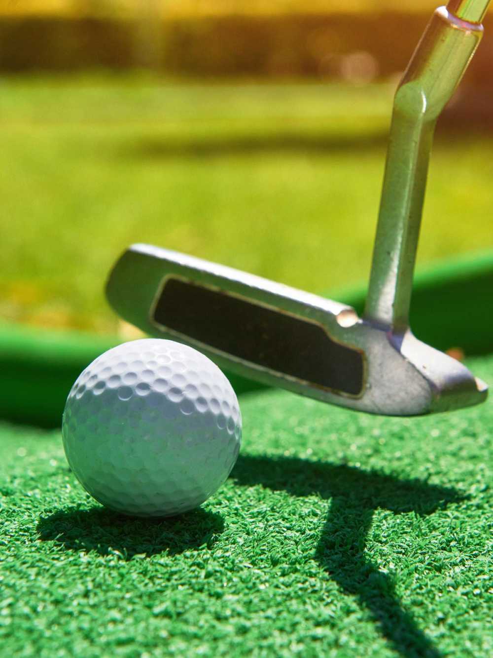 Minigolf cover