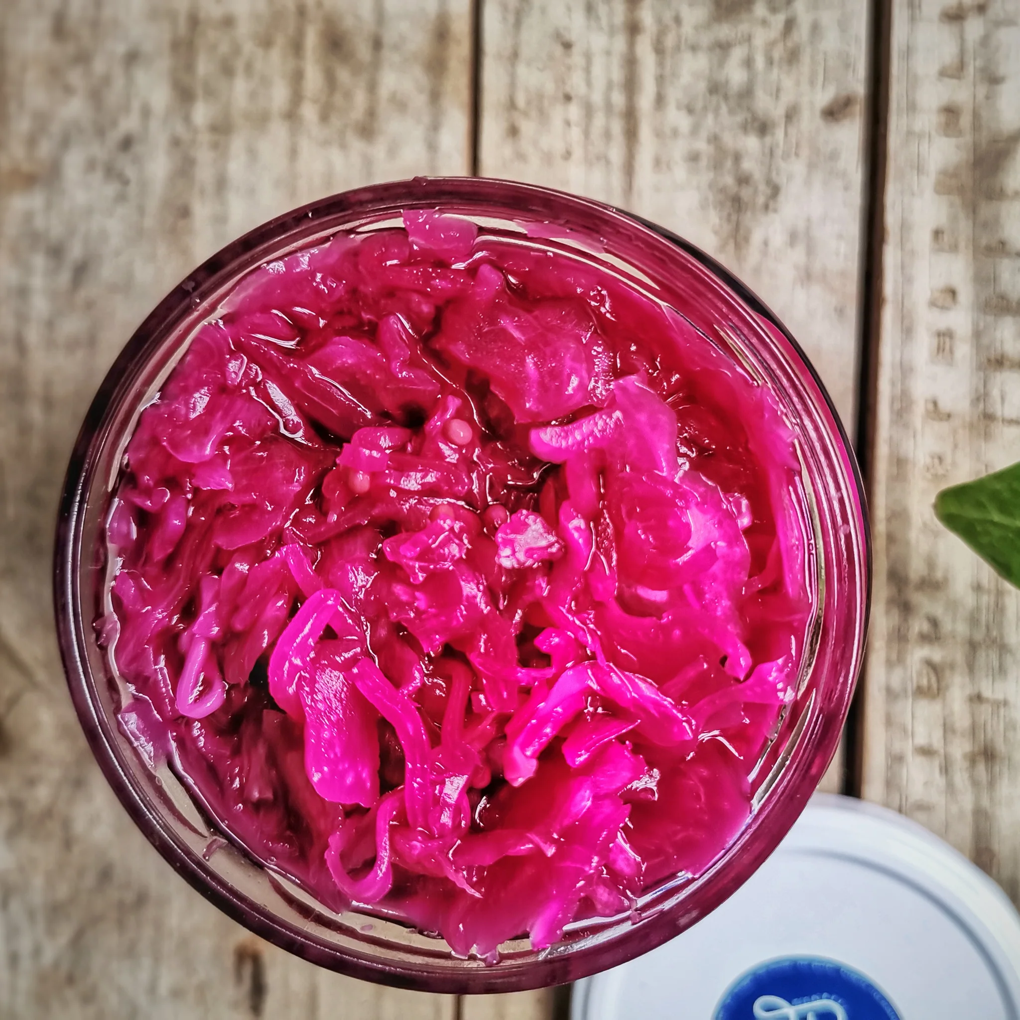 Beneficios del Chucrut en la dieta de los carnívoros