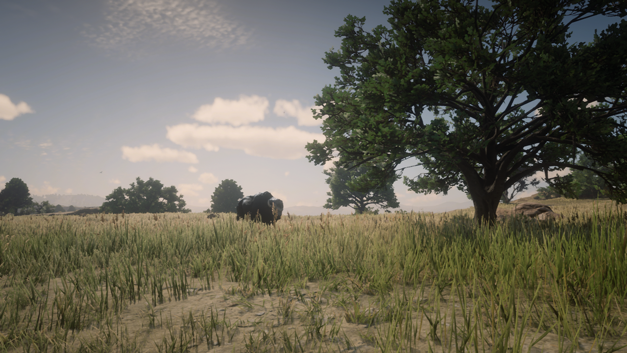 Legendary Tatanka Bison Location Legendary Animal Red Dead   Legendary Tatanka Bison.PNG