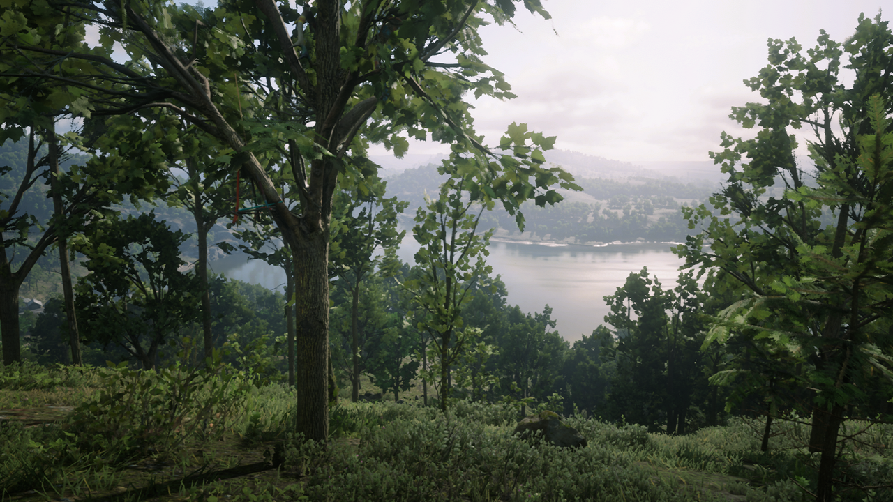 Roanoke Ridge Hill Location Dreamcatcher Red Dead Redemption 2 Map   Roanoke Ridge Hill Dreamcatcher.PNG