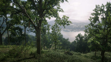 Roanoke Ridge Hill Dreamcatcher