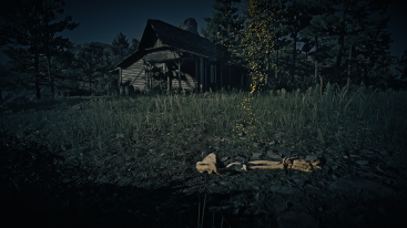 Heartlands Abandoned Shack Dinosaur Bones