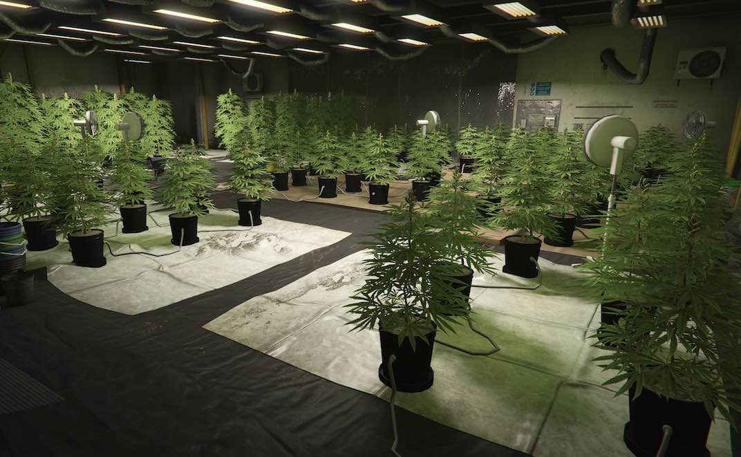 Everything You Need To Know About The Weed Farm In GTA V Online Gta V Online Weed Farm Growth 