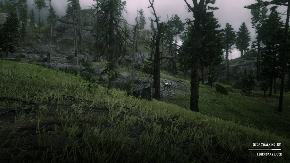 Red Dead Redemption 2 Legendary Panther Location Legendary Panther Location - Legendary Animal - Red Dead Redemption 2