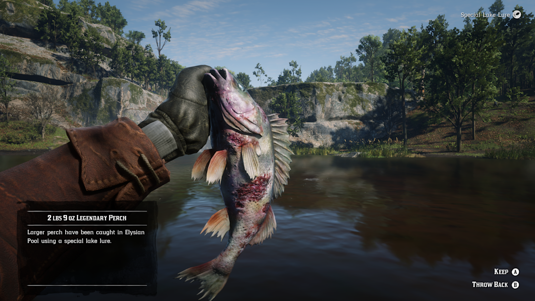 Red Dead Redemption 2 Legendary Channel Catfish Legendary Bullhead Catfish Location - Legendary Fish - Red Dead