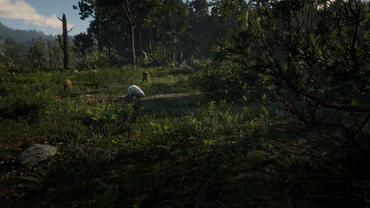Red Dead Redemption 2 Legendary Panther Location Legendary Panther Location - Legendary Animal - Red Dead Redemption 2