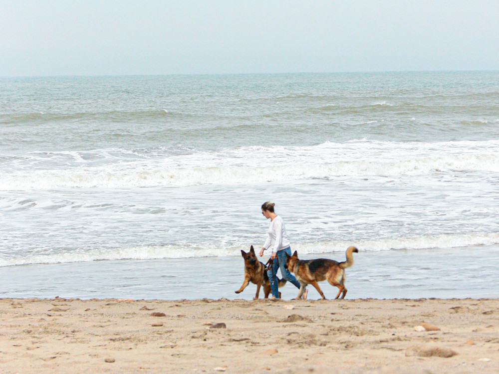 be active with wispence