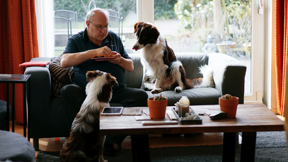 Сладости, сахар, мучное 