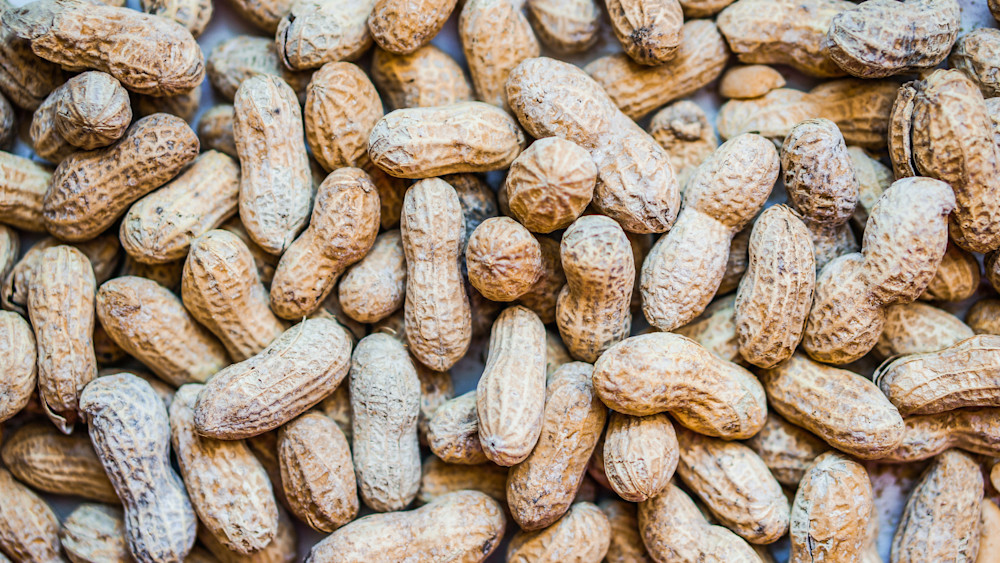 Peanut