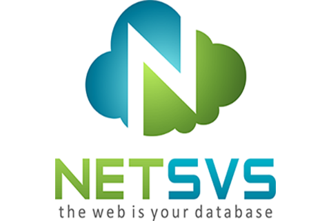 NETSVS Logo