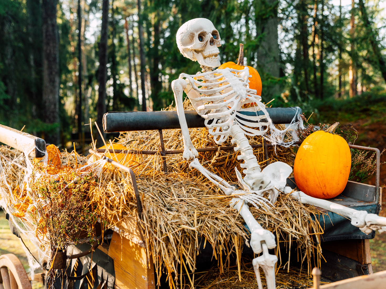 Familjevänligt 🍭