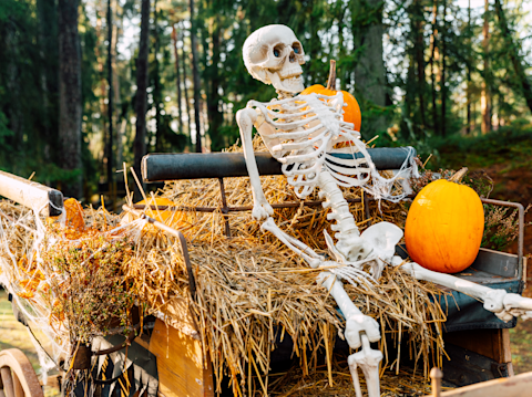 Family friendly 🍭