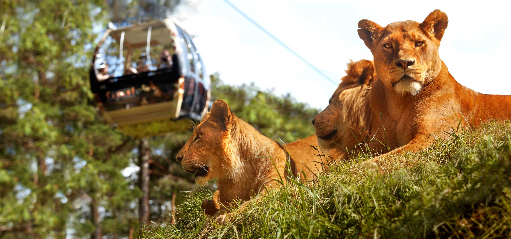 Kolmården Wildlife Park