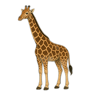 Illustration av en stående giraff med lång hals och mönstrade bruna och gula fläckar, vänd åt vänster på en enfärgad bakgrund.