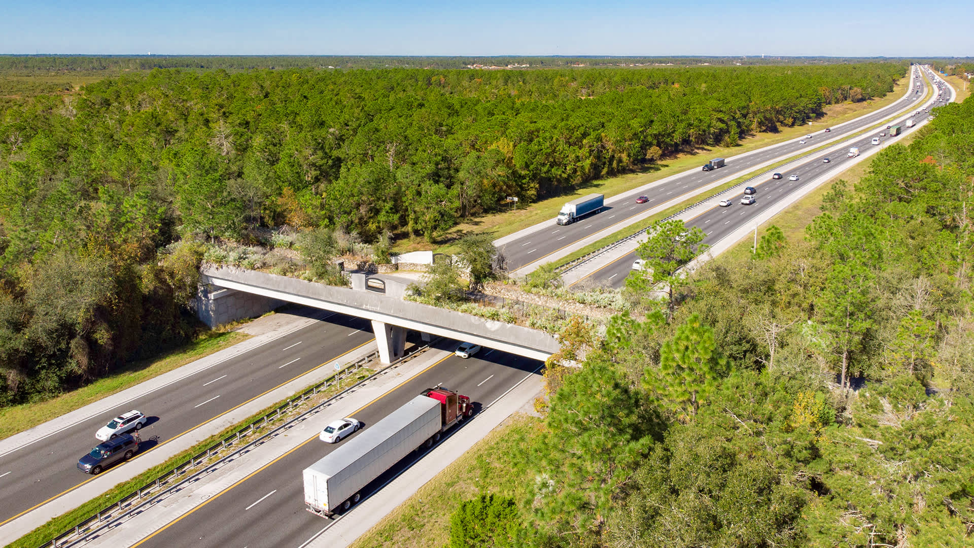 An aerial photograph of a wildlife overpass bridge planted with trees and plants above a highway with with trucks and passenger cars. 