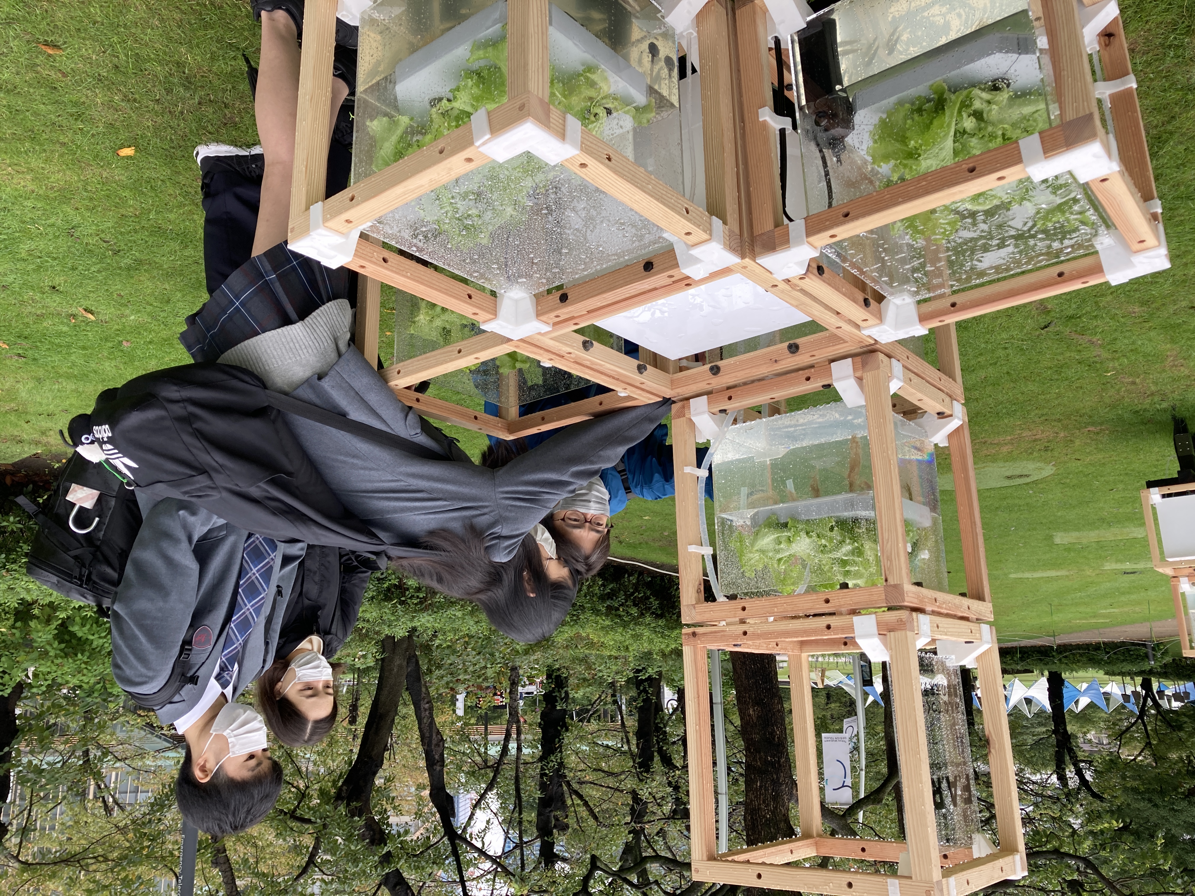 栽培実験をしてくれていた新渡戸文化高等学校の生徒と先生が、実際の展示を見て循環システムを確認しています。