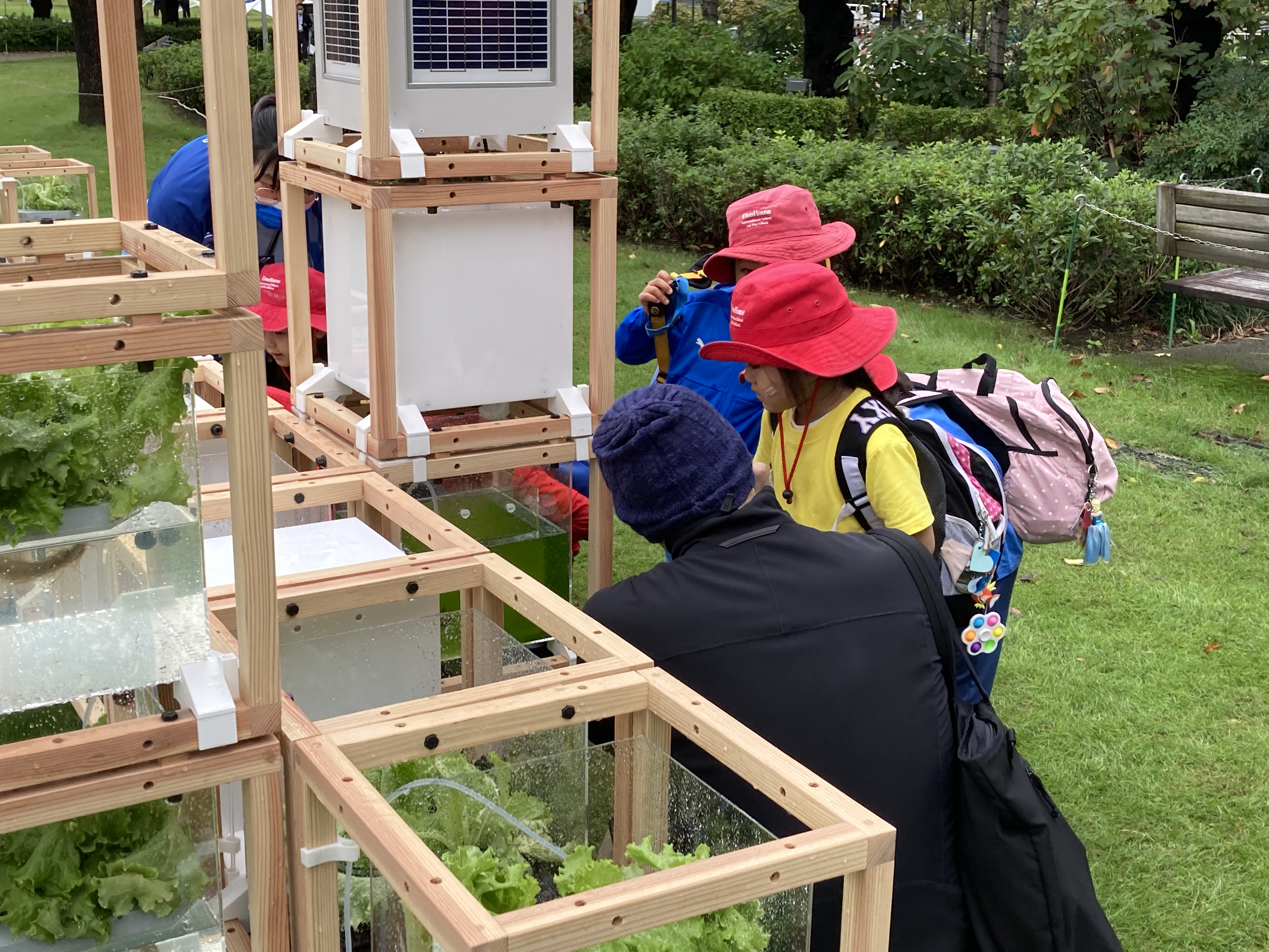 お散歩に来た子供たちが藻培養やアクアポニックスに興味を持ってくれました。