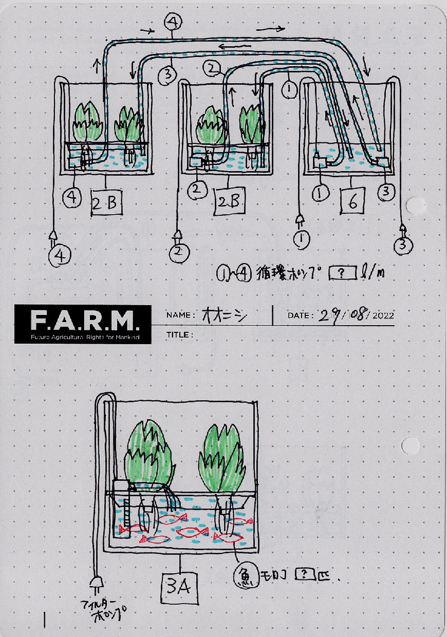 土壌点滴、水耕栽培、アクアポニックスボックスの器具の組み合わせを考えました。