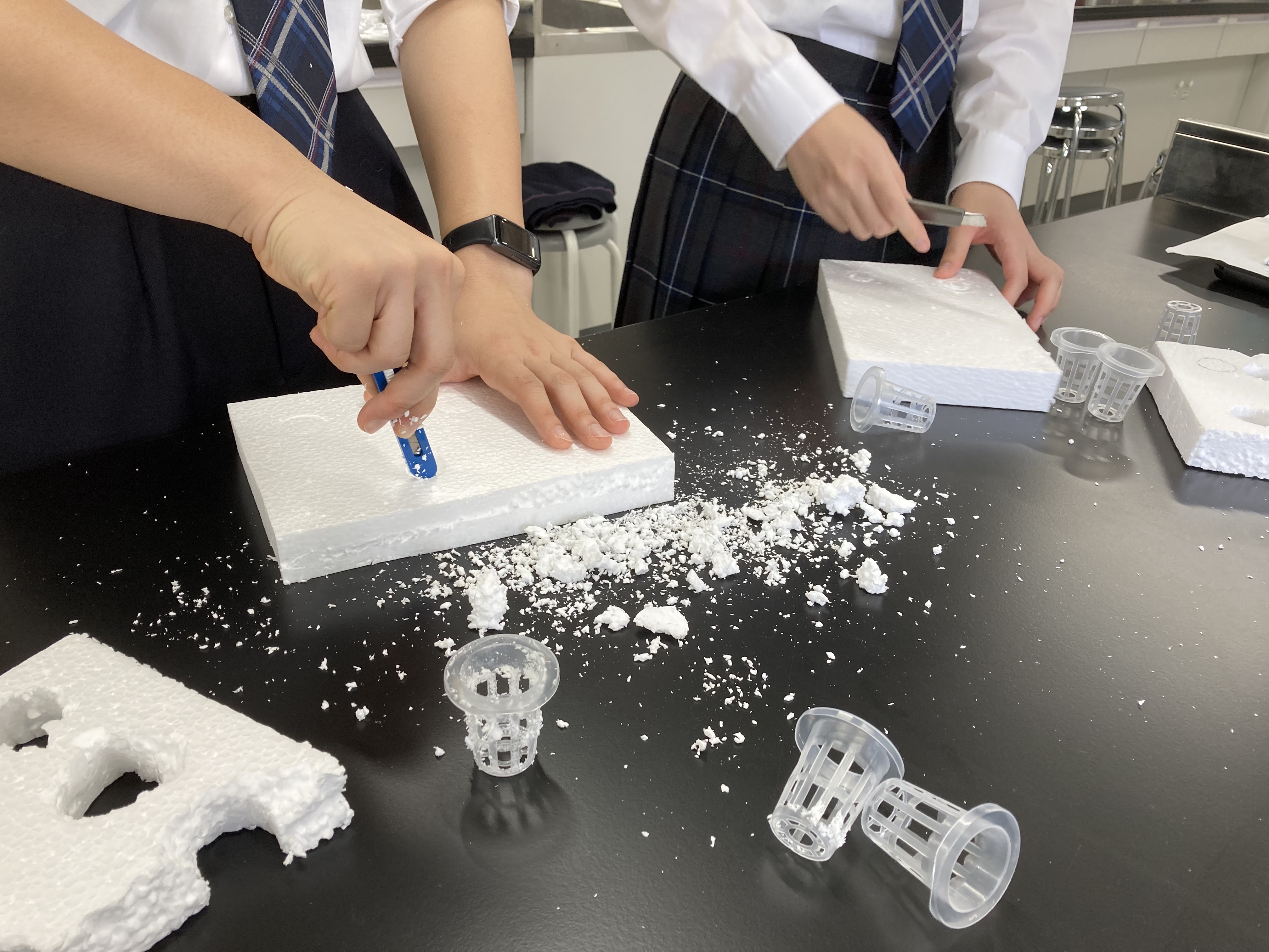 発泡スチロールに穴を開け、水耕栽培の苗をはめ込む土台を作ります。