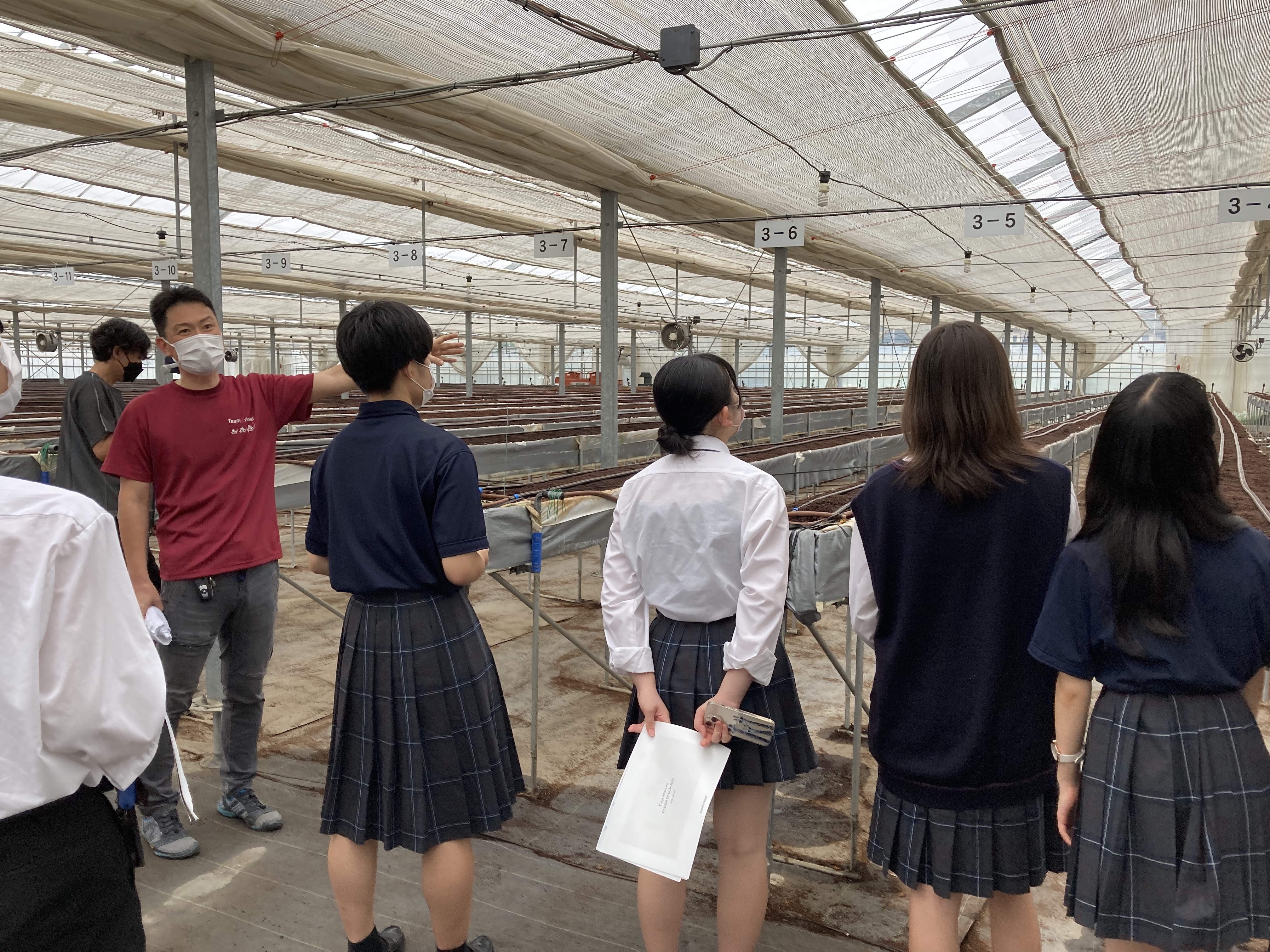 土壌点滴栽培、見学の様子。太陽グリーンエナジーの荒神さんが灌漑水の点滴システムを説明しています。