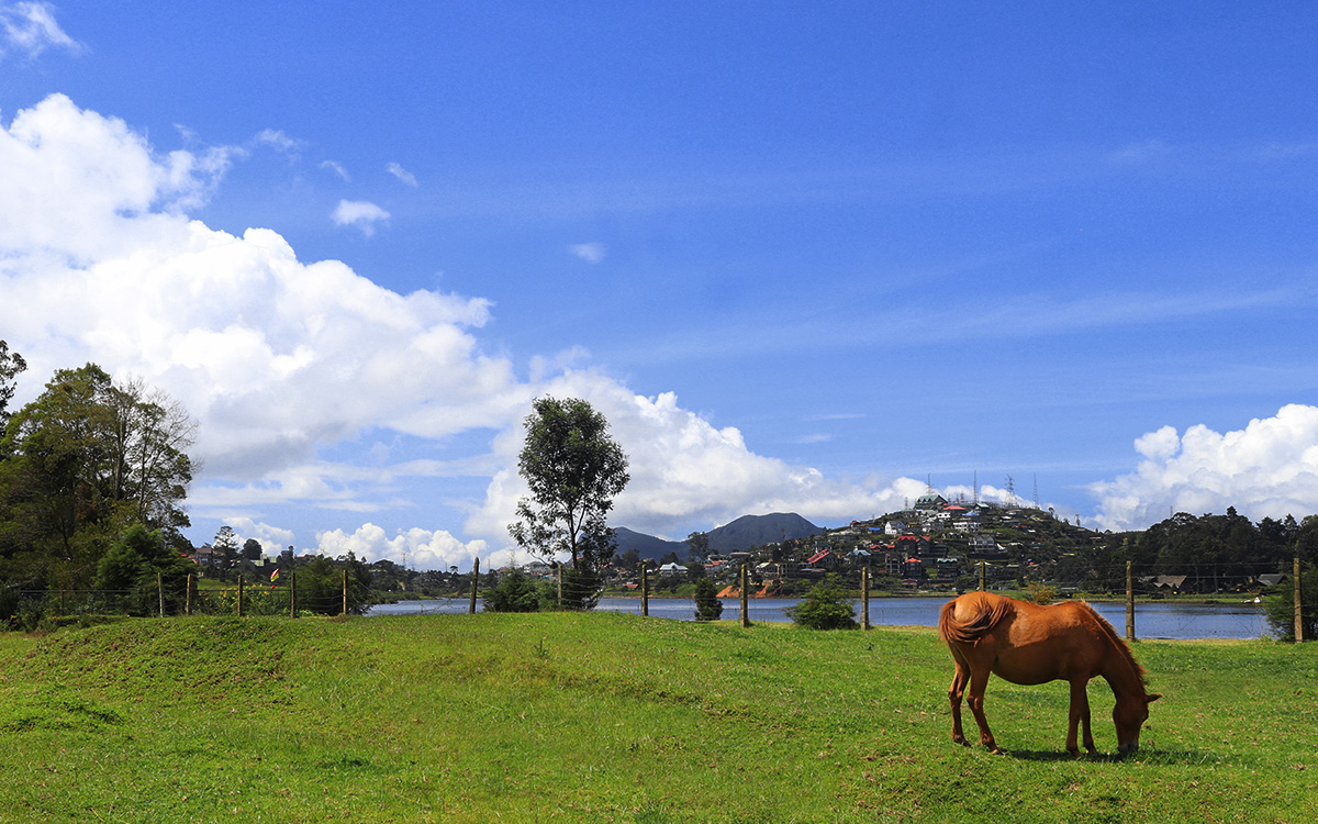 Nuwara Eliya Trek 03