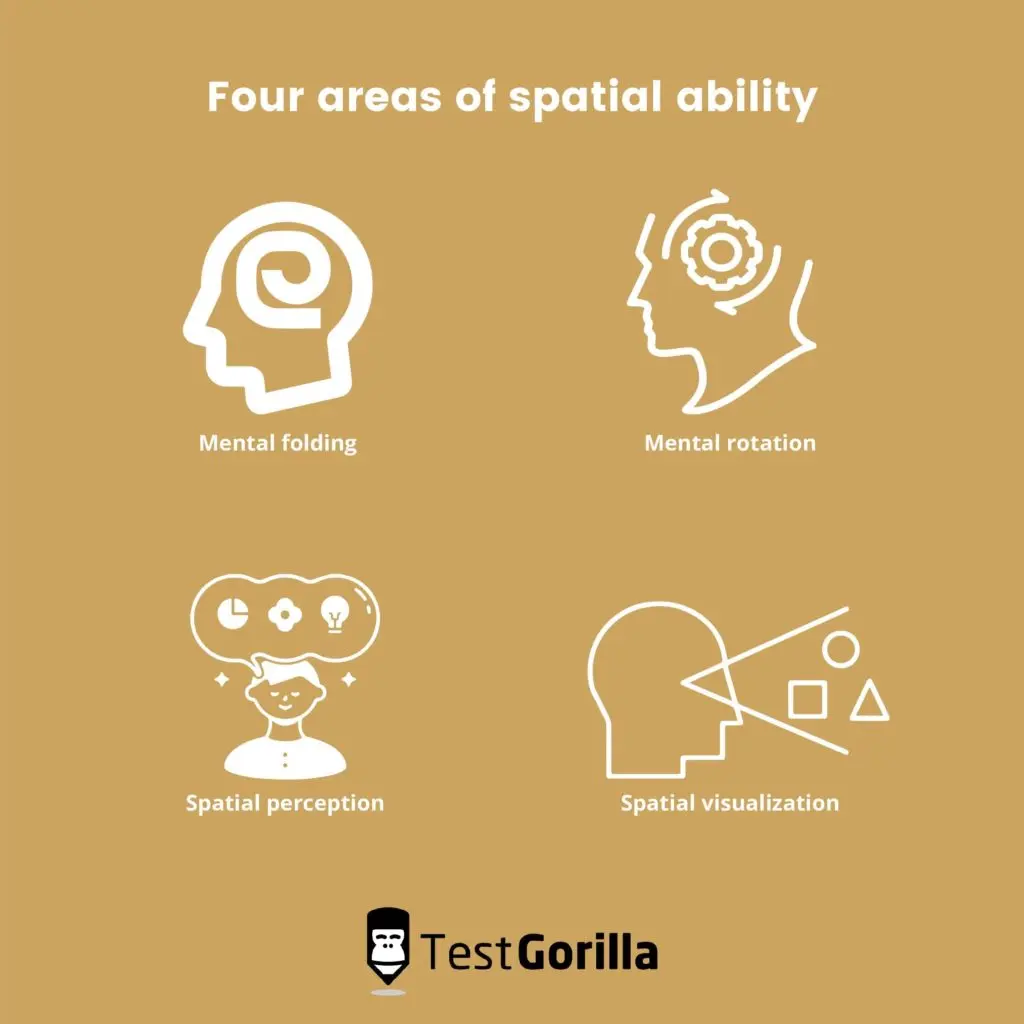 four areas of spatial ability