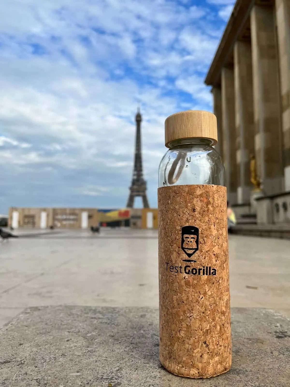 Image showing a TestGorilla swag water bottle