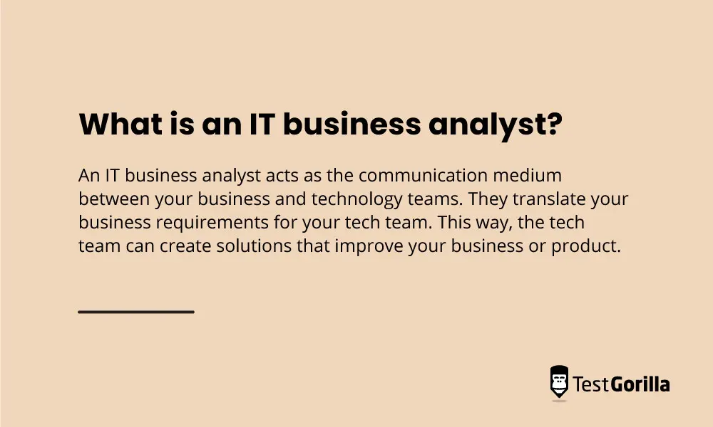What is an IT business analyst graphic