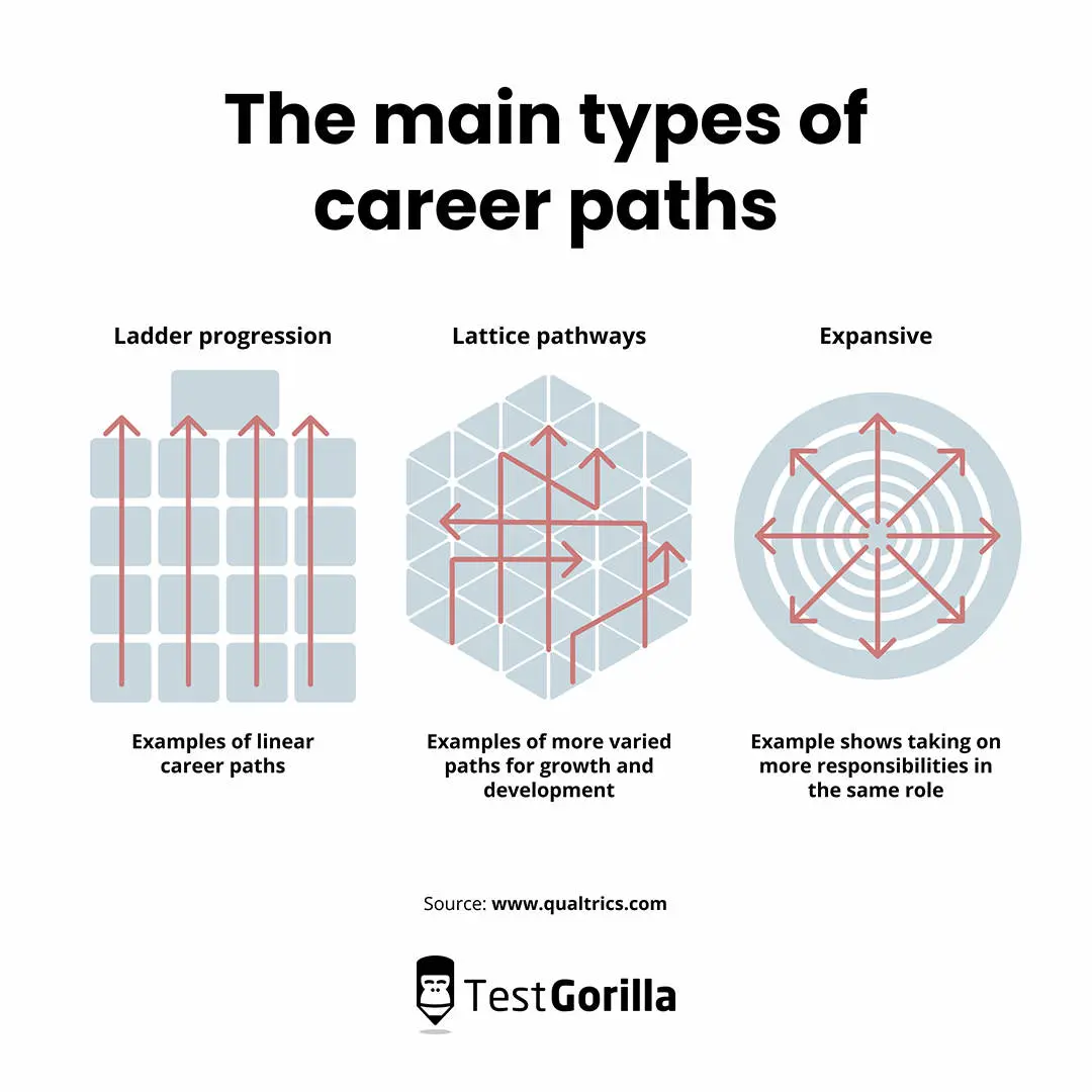 The main types of career paths graphic