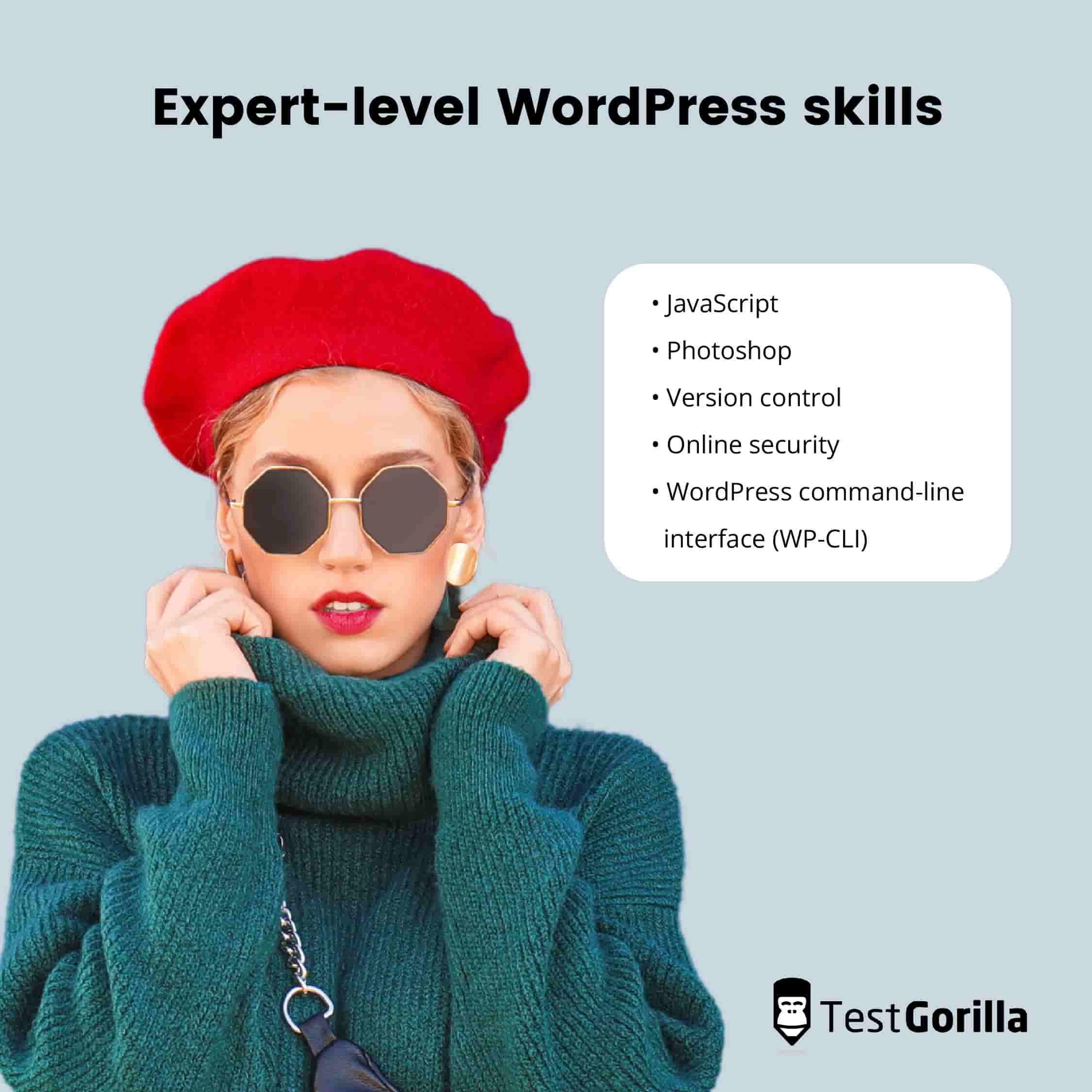 Expert-level WordPress skills