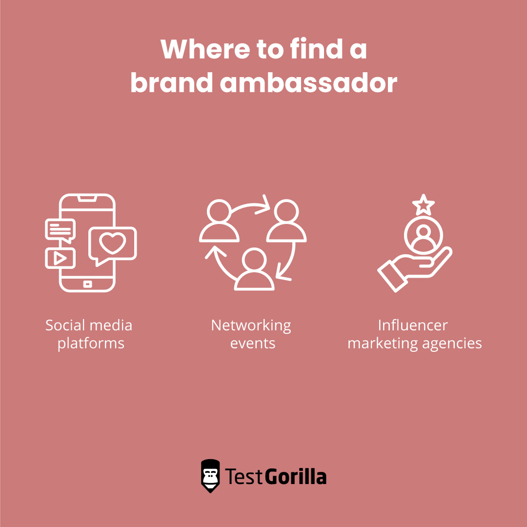 Where to find a brand ambassador graphic