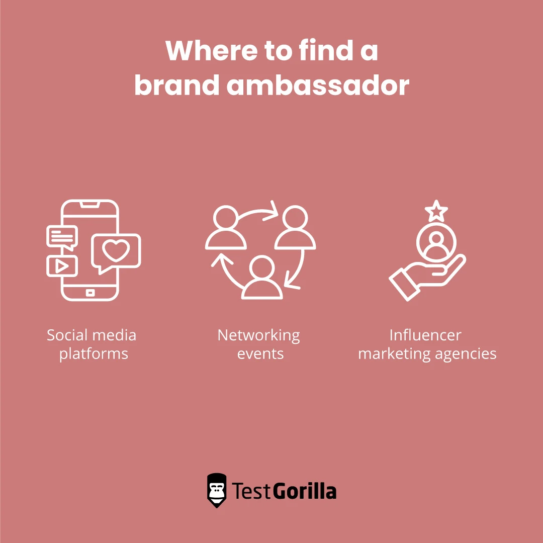 Where to find a brand ambassador graphic