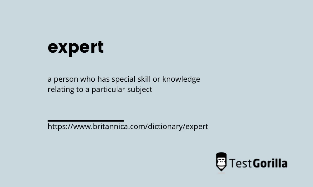 expert dictionary definition