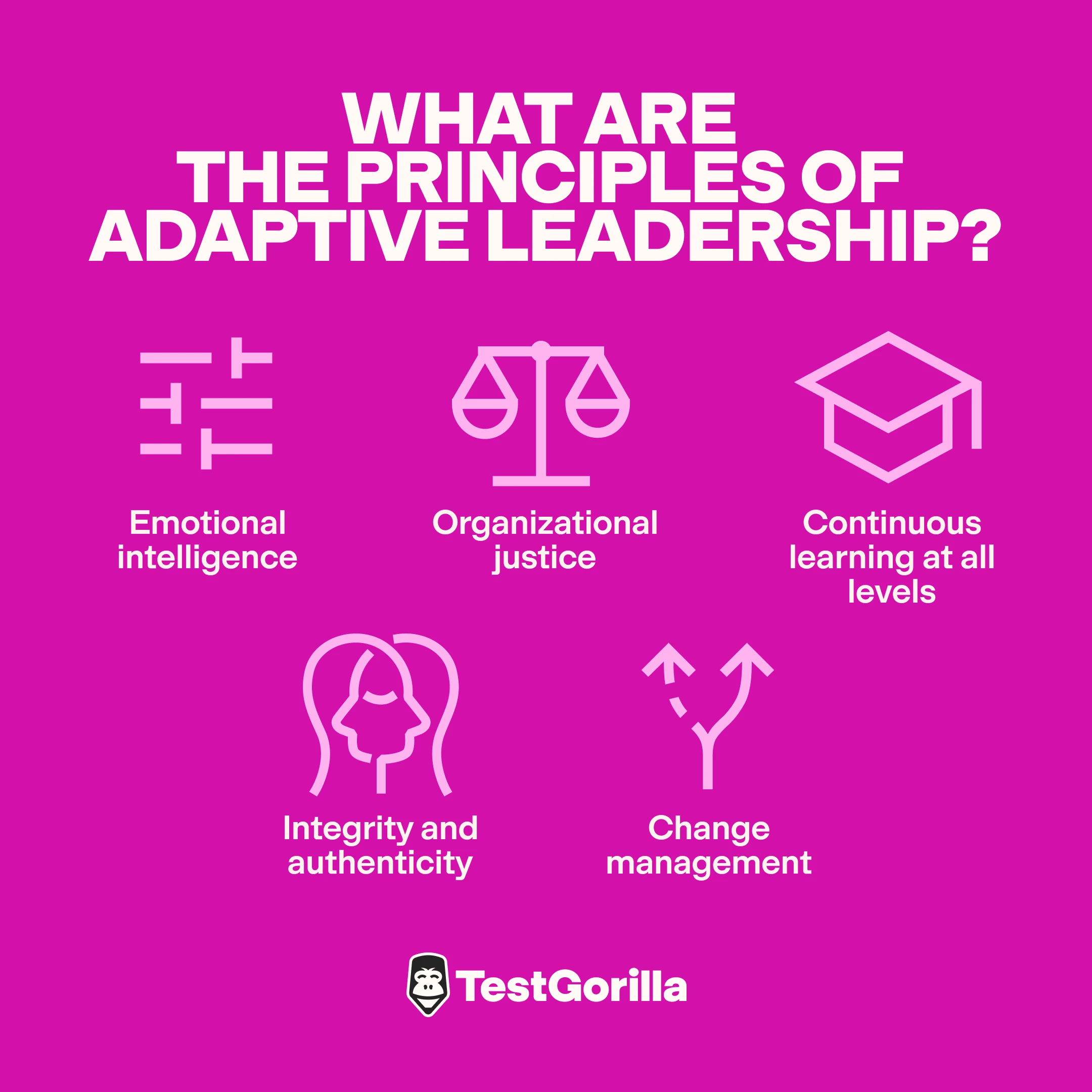 What are the principles of adaptive leadership graphic