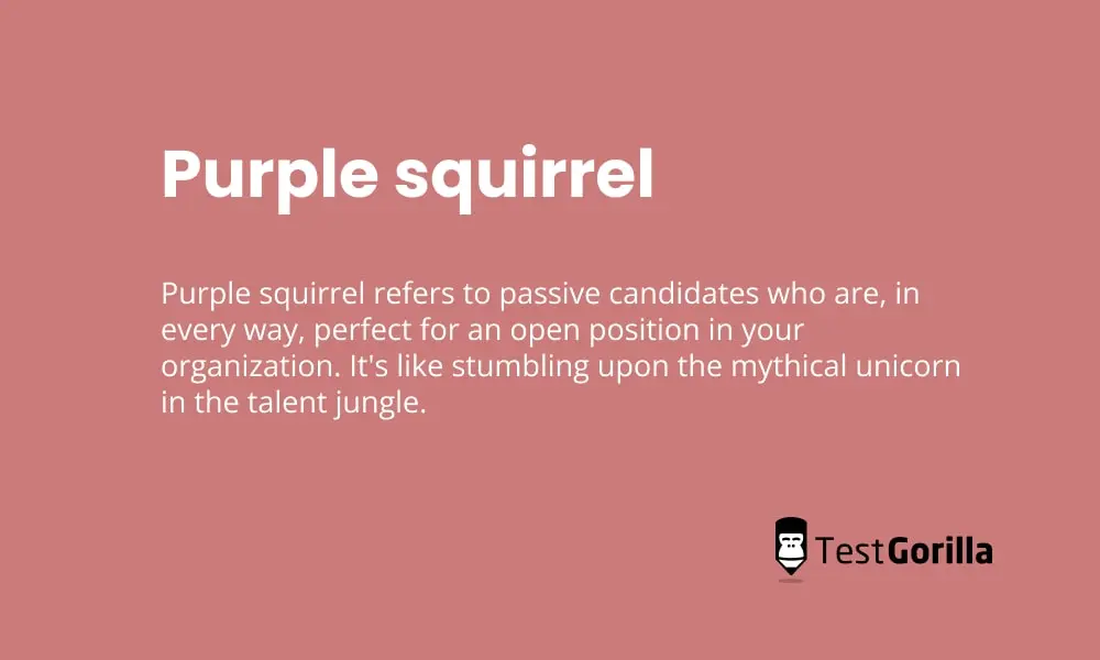 purple squirrel definition
