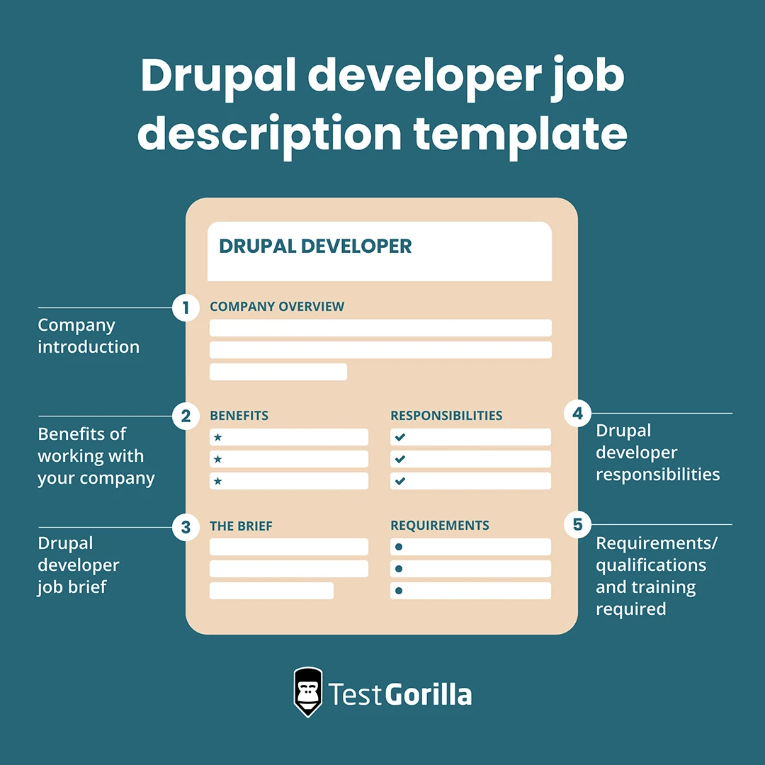 Drupal developer job description template graphic