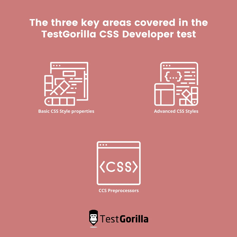 three key areas covered testgorilla css developer