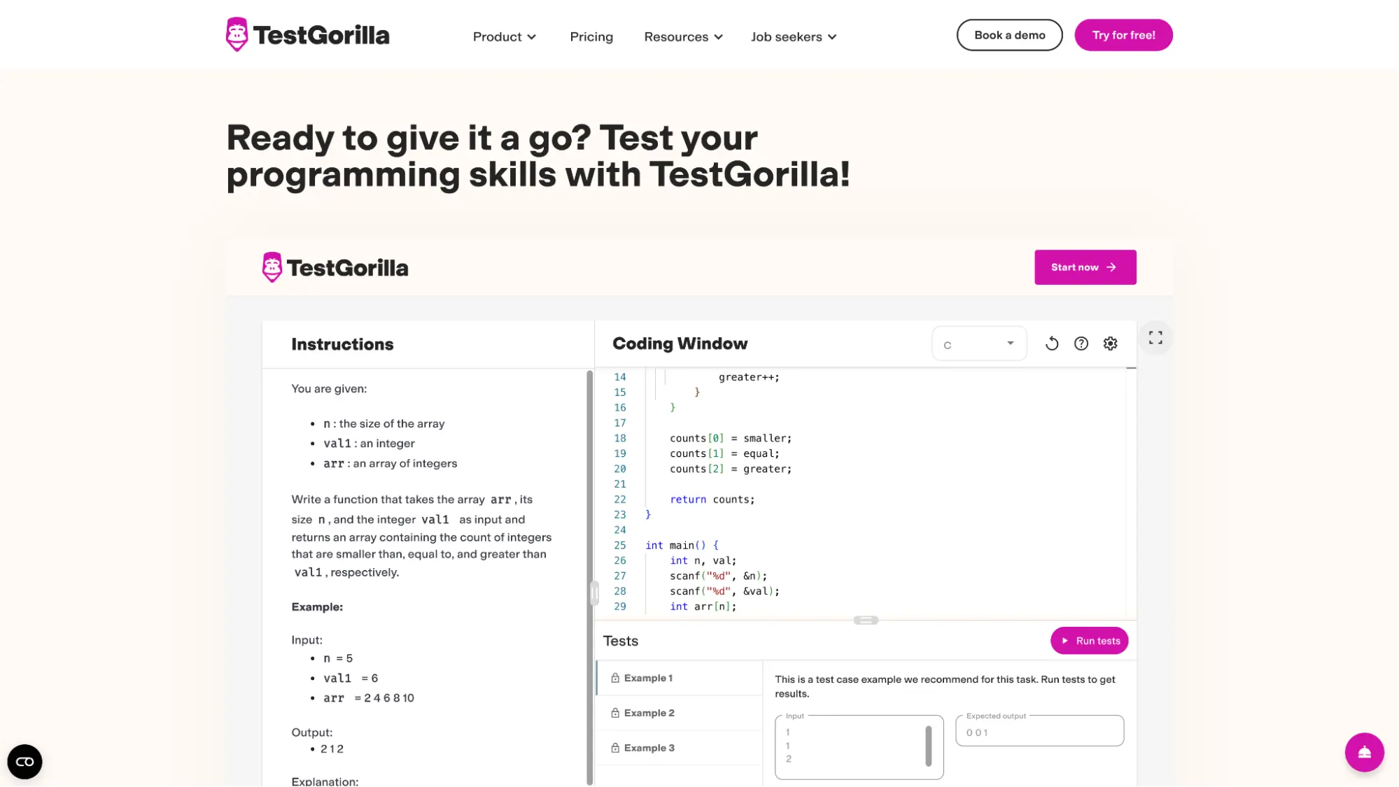 Example of TestGorilla's coding assessment features