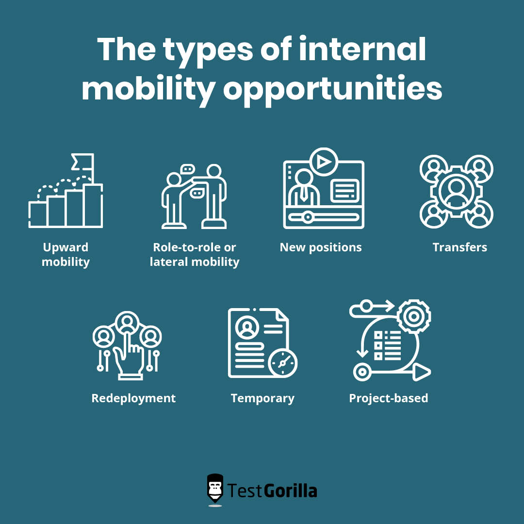 The 7 types of internal mobility opportunities