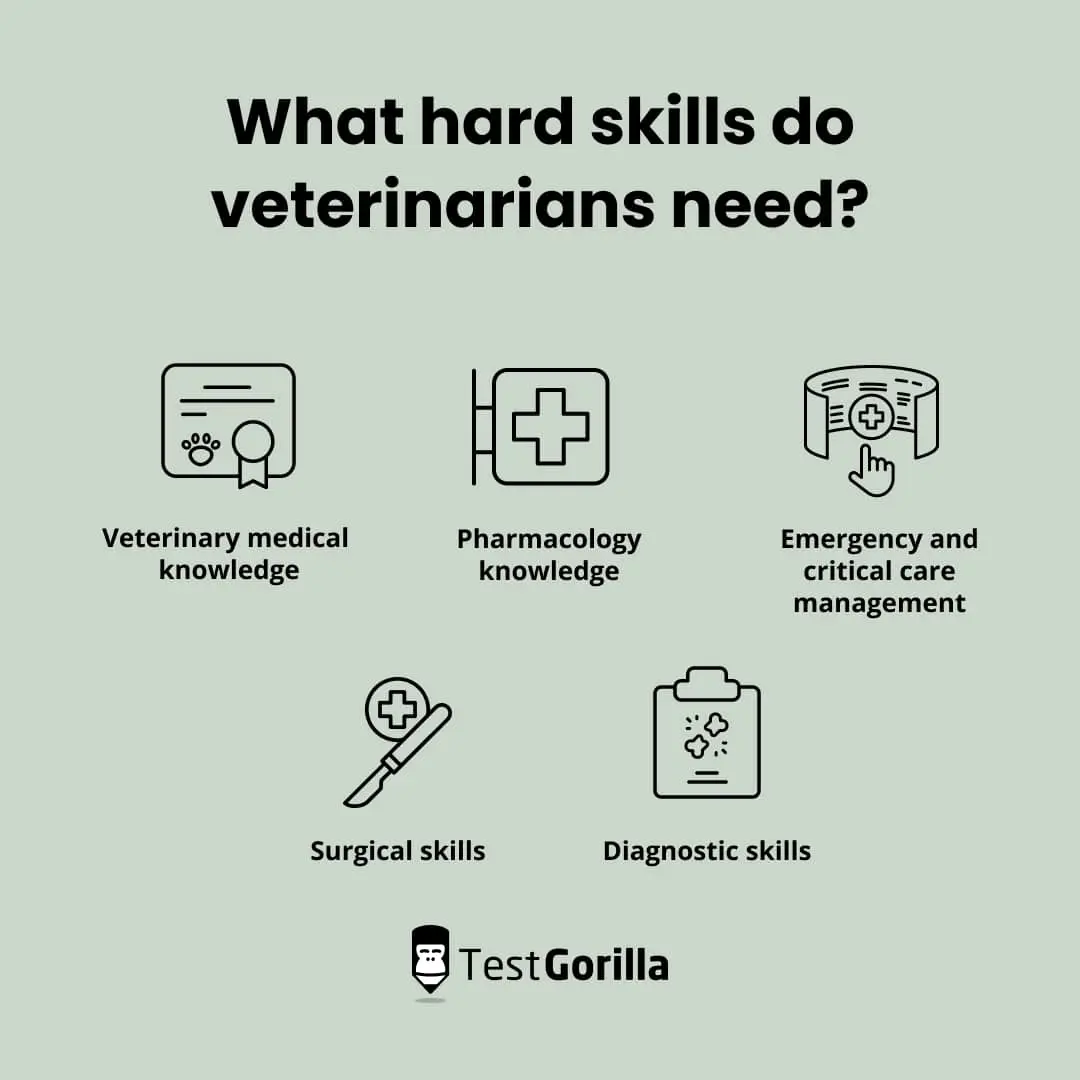 What hard skills do veterinarians need graphic