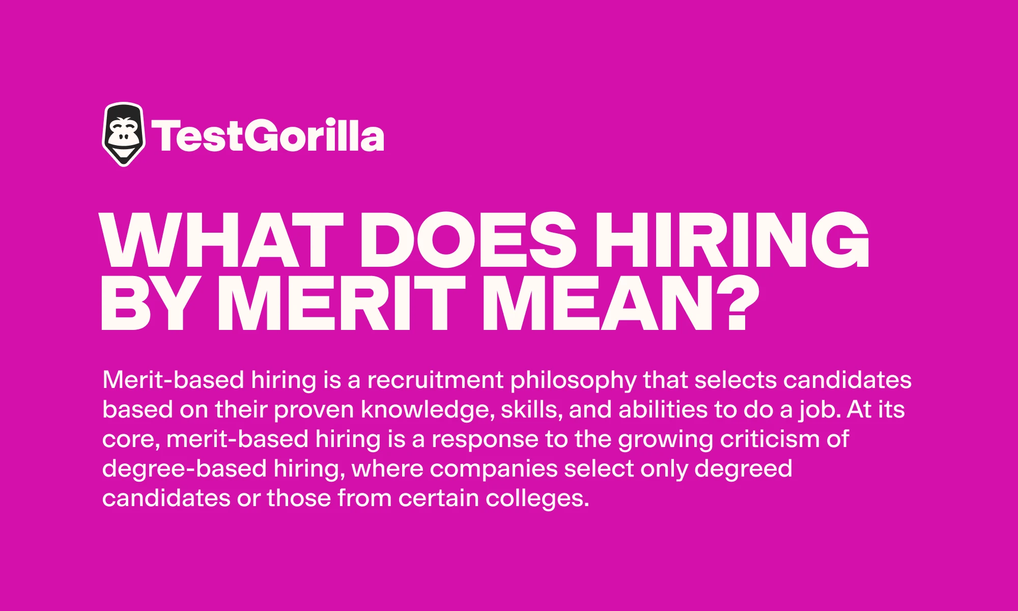 What-does-hiring-by-merit-mean