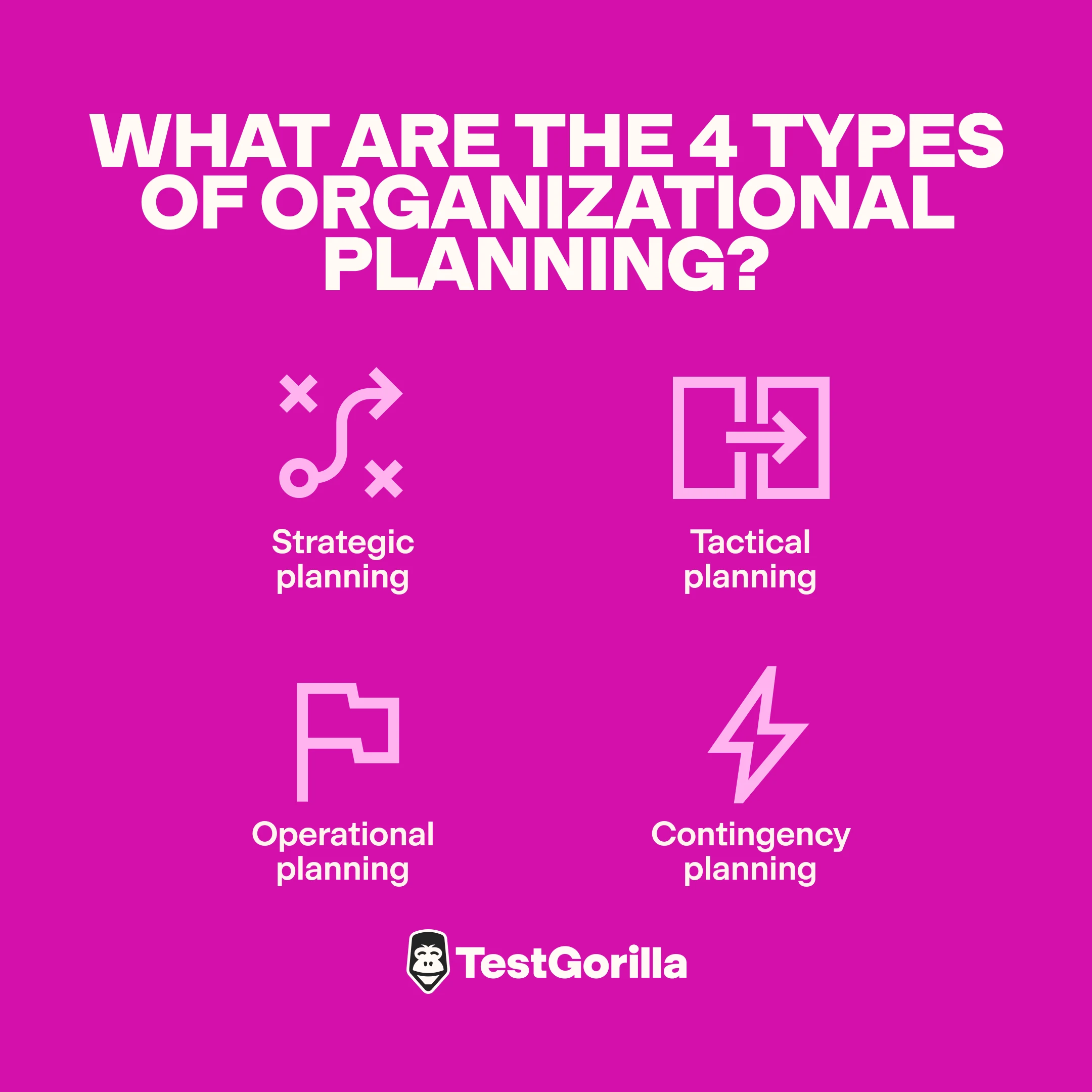 What are the 4 types of organizational planning?