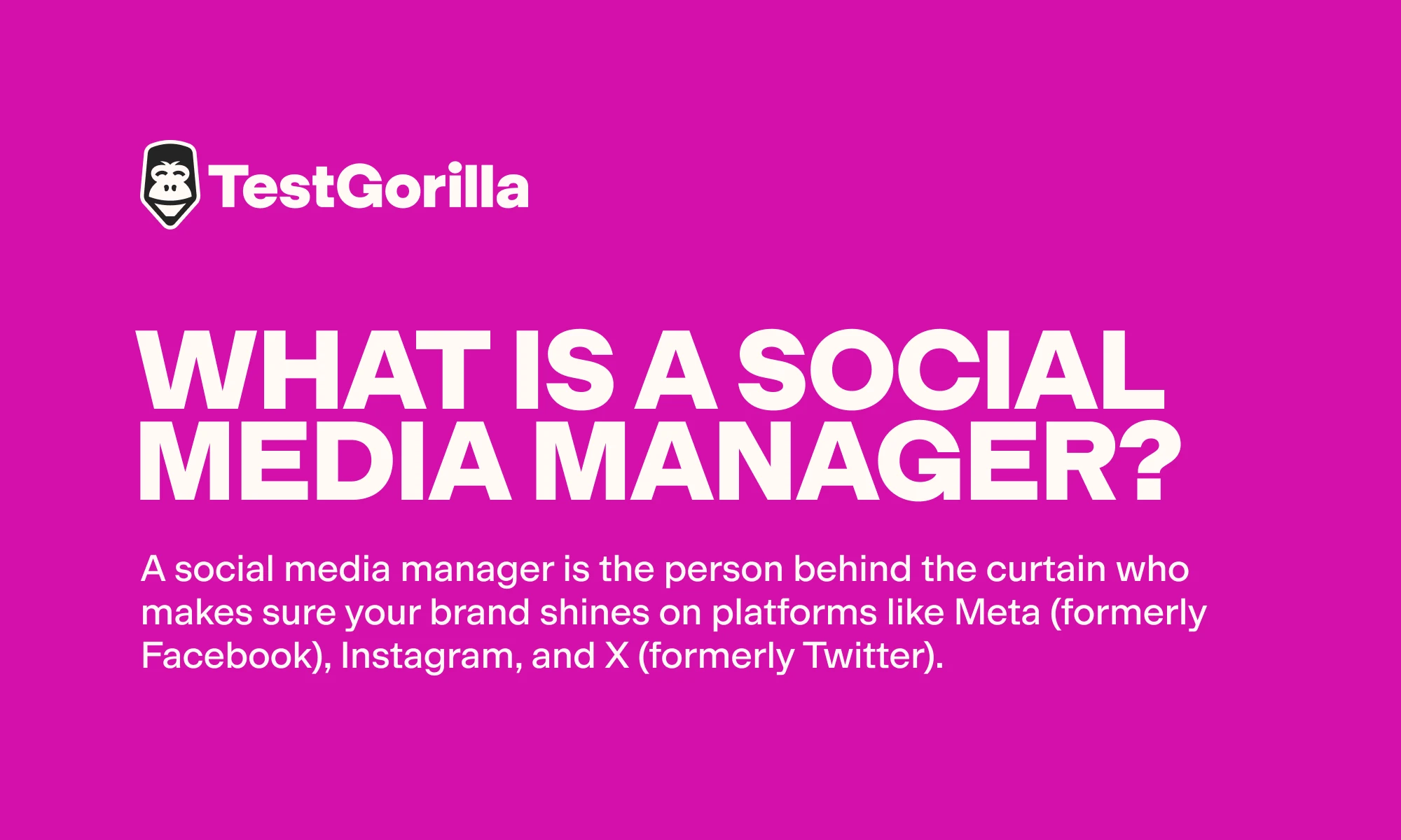 What is a social media manager graphic