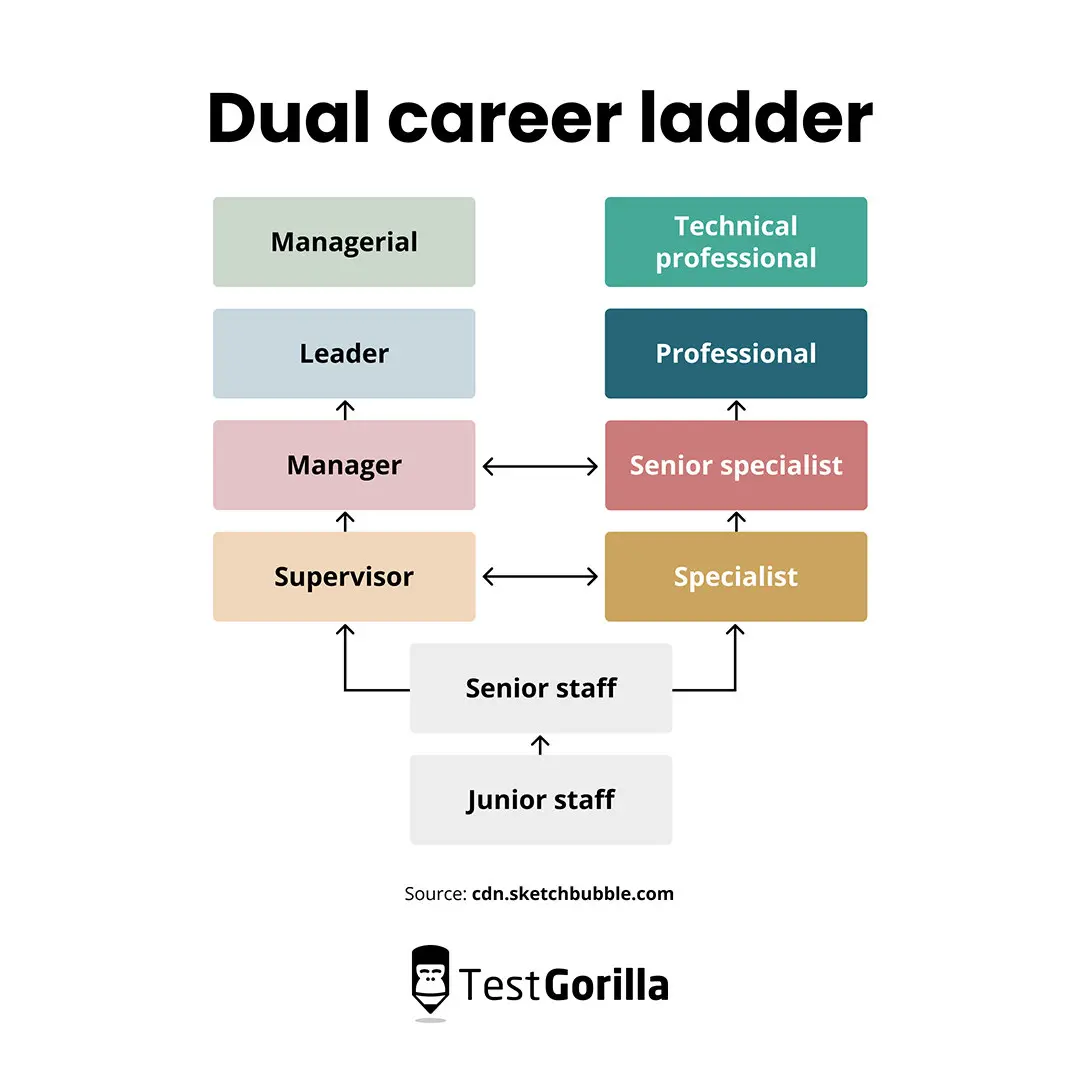 Dual career ladder graphic