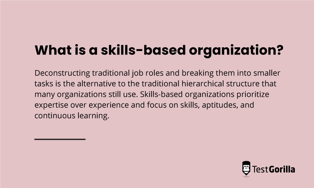 What is a skills based organization graphic
