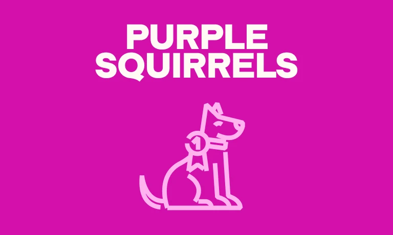 featured graphic for what is a purple squirrel in recruiting