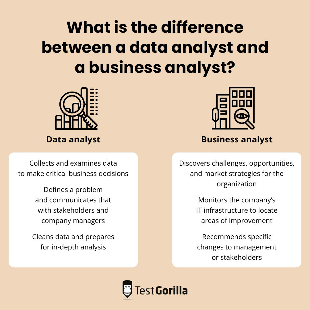 What is the difference between a data analyst and a business analyst