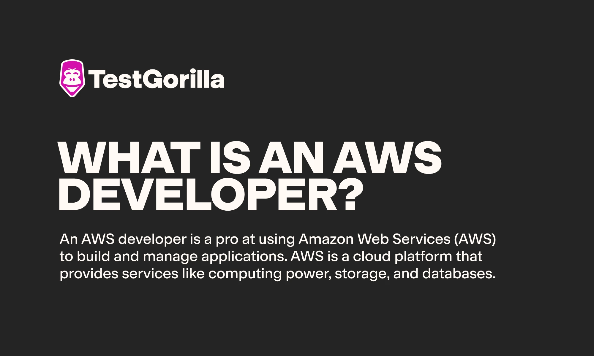 What is an AWS developer graphic